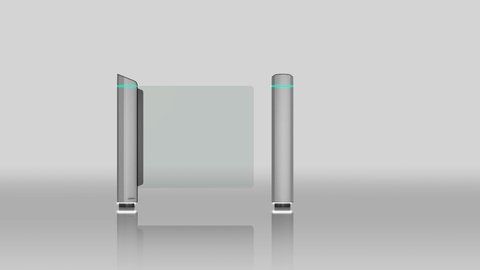 Турнікет-хвіртка Magnetic FlowMotion mSwing 100214 фото